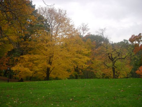 DSCN2368